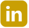 linkedin-icon-lcs